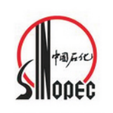 中國(guó)石化高橋化工